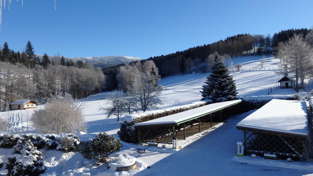 Landhotel Gruenwies -Bonsai-Wellness Garni (Adults Only) Lohberg Eksteriør bilde